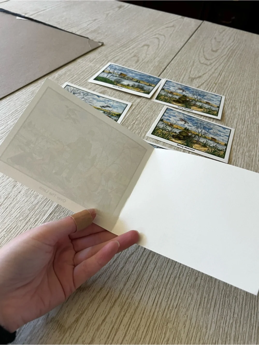 Set of 7 Beautiful Duck Hunting Scene Notecards Stationary